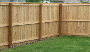 Cedar Fence By Amber Rose